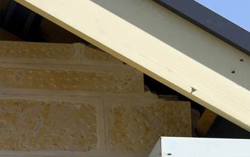 soffit repair Kinnesswood