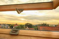 rated Kinnesswood roof window companies